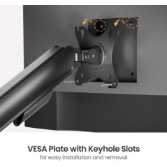 eSTUFF Dual Gas Spring Monitor Mount